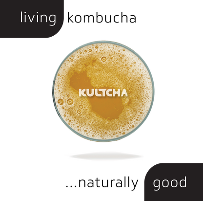 KULTCHA No.09 6-Pack - PINEAPPLE