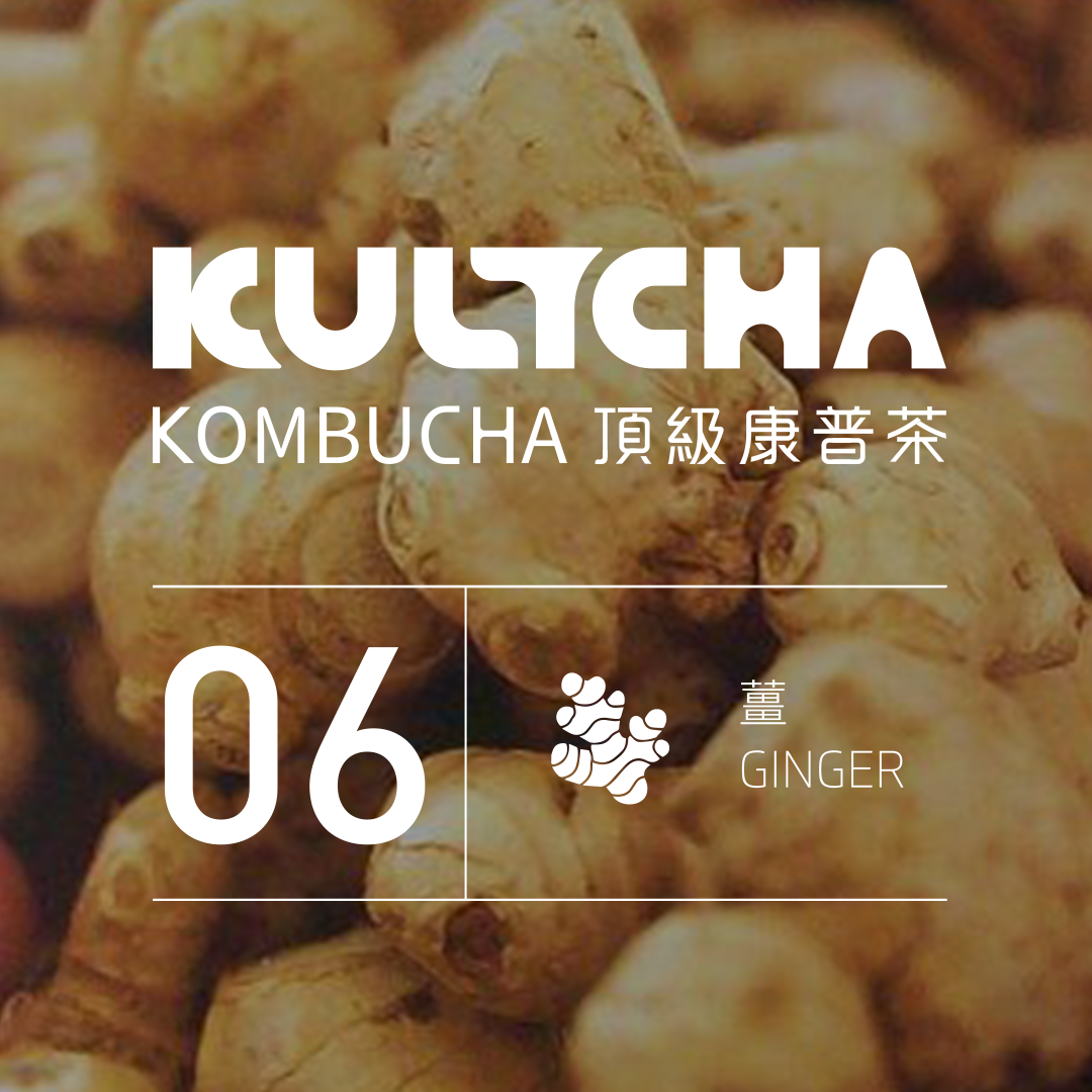 KULTCHA 各種口味[24瓶]